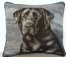 Dog black labrador for sale  College Grove