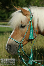 Haflinger englisch zaum gebraucht kaufen  Rot am See