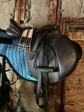 English saddle teal for sale  Stowe