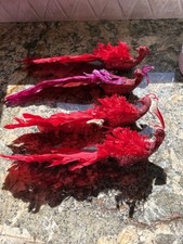 Lot fancy peacock for sale  Tulsa