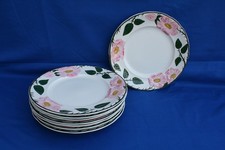 Grandes assiettes plates d'occasion  Volvic