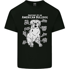 American bulldog anatomy for sale  COVENTRY
