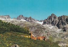 Cartolina 1412 oberland usato  Unsere Liebe Frau im Walde St Felix
