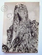 Cartolina montagna torre usato  Vimodrone