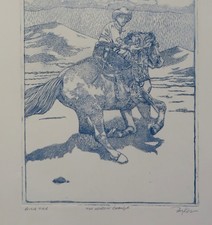 David parker soft for sale  Denver