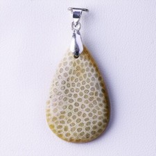 Corail fossile pendentif d'occasion  Saint-Pardoux
