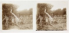 Nouvelle caledonie canaques d'occasion  Paris V