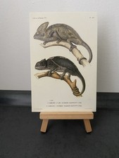 Motivkarte historische illustr gebraucht kaufen  Hannover