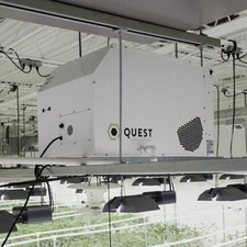 Quest dual 205 for sale  Aptos