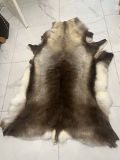 Echtes rentierfell neu gebraucht kaufen Echtes rentierfell neu gebraucht kaufen  Wardenburg
