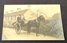 horse trap for sale  BATH