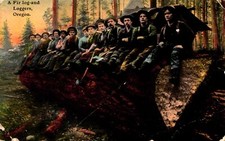 Fir log loggers for sale  Eugene