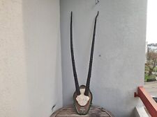 Trophée oryx écusson d'occasion  Lorient