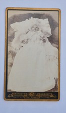 post mortem baby for sale post mortem baby for sale NOTTINGHAM