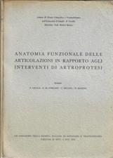 Anatomia funzionale delle usato  Italia