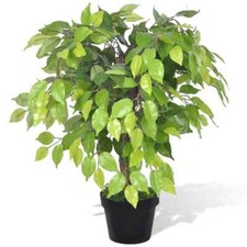 Künstlicher zwerg ficus gebraucht kaufen  München