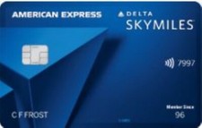 Delta skymiles blue for sale  Miami Beach