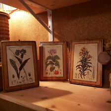 Ensemble petits tableaux d'occasion  Villeneuve-d'Ascq-