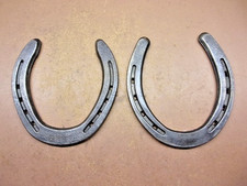 Small iron horseshoes for sale  Troy