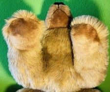 Steiff studiotier bär gebraucht kaufen  Mühldorf a.Inn