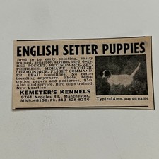 Kemeter kennels english for sale  Hinckley