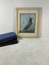 gambel quail for sale gambel quail for sale Mesa