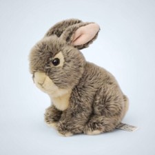 Anna club bunny for sale  SHREWSBURY