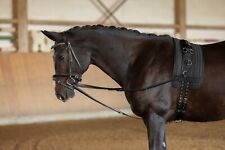 dreieckszugel gebraucht kaufen dreieckszugel gebraucht kaufen Versand nach Germany
