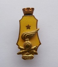 Distintivo con smalti usato  Italia