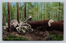 logging winch tractor for sale  Grand Forks