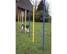 Agility slalom gebraucht kaufen  Deutschland