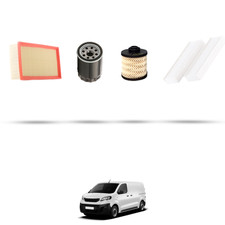 Hoffcar kit tagliando usato  Italia