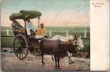 Vintage 1900s MUMBAI, Índia Cartão Postal "A Bombay Reckla" Carrinho de Boi Carruagem / Não Usado, usado comprar usado Vintage 1900s MUMBAI, Índia Cartão Postal "A Bombay Reckla" Carrinho de Boi Carruagem / Não Usado, usado comprar usado  Enviando para Brazil