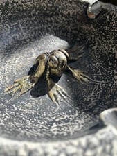 Cendrier ceramique grenouille d'occasion  Nancy-