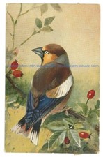 Hawfinch roland green. for sale  RUSHDEN