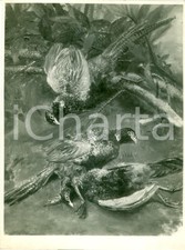 1935 milano quadro usato  Milano