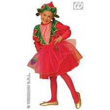 Carnevale costume vestito usato  Torre del Greco