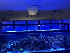 Aquaillumination 16hd reef for sale  Louisville