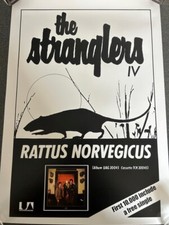 Stranglers rattus norvegicus for sale Stranglers rattus norvegicus for sale  FORFAR