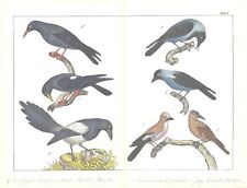 C1840 antique print for sale  ASHFORD