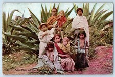 Mexico postcard pulque for sale  Terre Haute