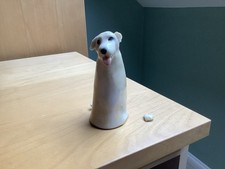yellow labrador for sale yellow labrador for sale WELLINGBOROUGH