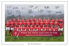 Wales rugby 2012 for sale  UK