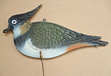 lapwing for sale lapwing for sale  NORWICH