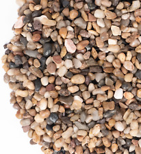 Pea gravel 2.5lbs for sale  Denver