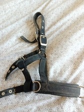 Pony lunging cavesson for sale  ST. LEONARDS-ON-SEA