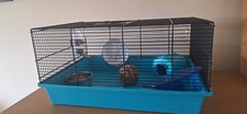 Hamster rat small for sale  LICHFIELD