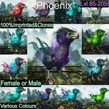 Ark Survival Ascended Pve Phoenix High LVL impresso e clones comprar usado  Enviando para Brazil