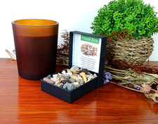 Fossil box shark for sale  NEWCASTLE