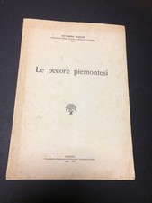 Pecore piemontesi vittorino usato  Biella